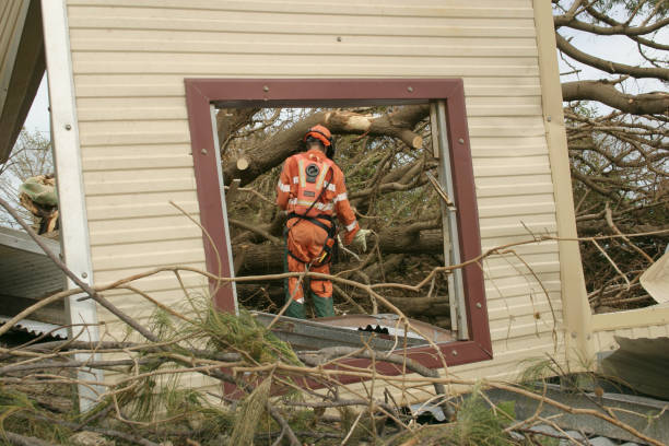 How Our Tree Care Process Works  in  Whittingham, NJ